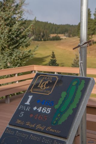 11132 BOGEY CIR, Lead, SD 57747