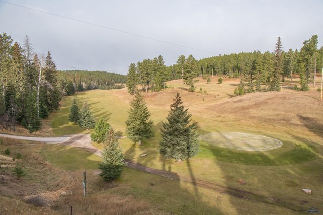 11132 BOGEY CIR, Lead, SD 57747