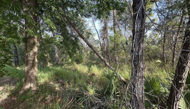 0 OLIVE CIRCLE, Ocala, FL 34472
