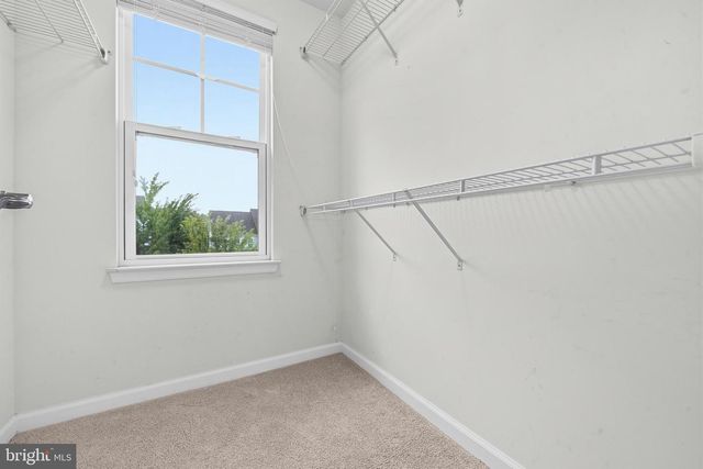 2341 SWEET PEPPERBRUSH LOOP, Dumfries, VA 22026