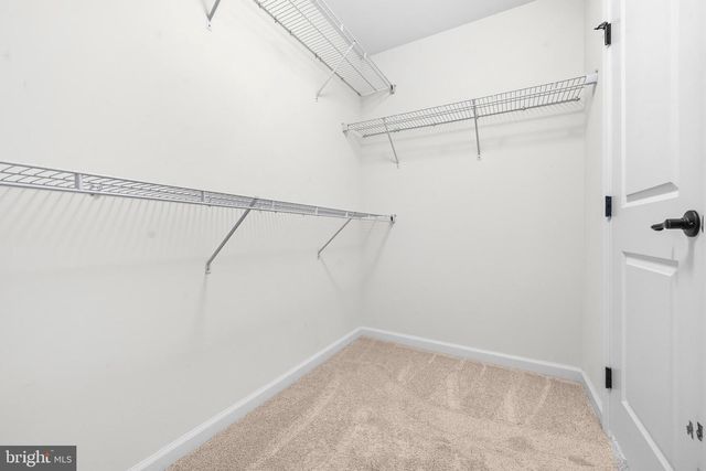 2341 SWEET PEPPERBRUSH LOOP, Dumfries, VA 22026