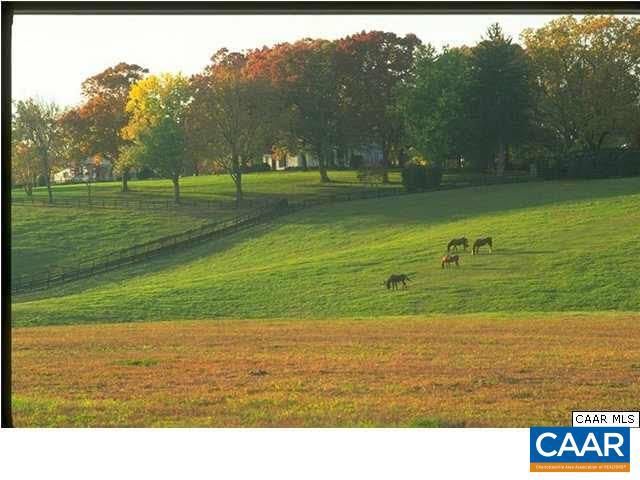 3606 OSPREY DR, Keswick, VA 22947