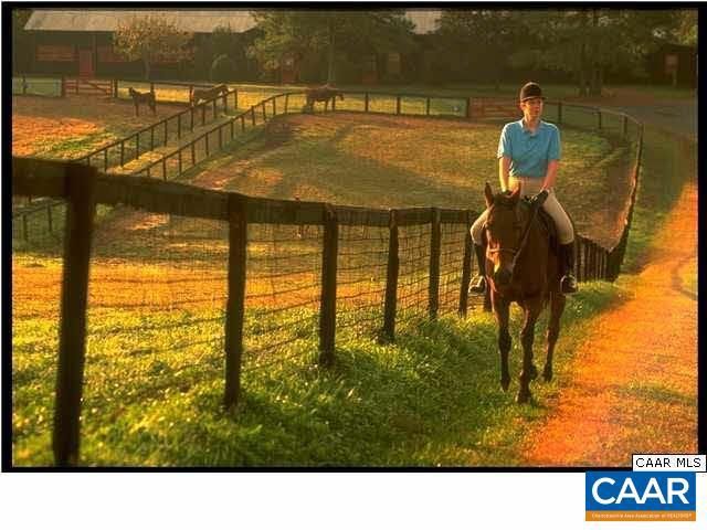 3606 OSPREY DR, Keswick, VA 22947