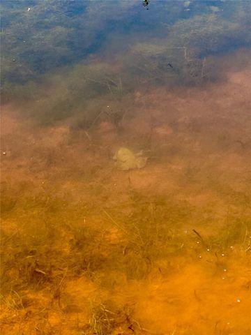 TBD CR 176, Ovalo, TX 79541