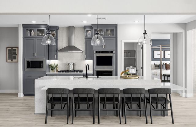 17173 Coral Tree Ln, Lathrop, CA 95330