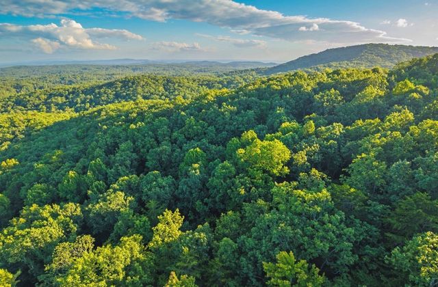Lt 760 Morton Drive, Ellijay, GA 30540