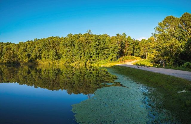 Lt 760 Morton Drive, Ellijay, GA 30540