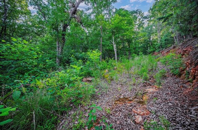 Lt 760 Morton Drive, Ellijay, GA 30540