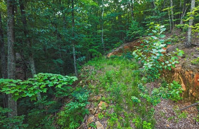 Lt 760 Morton Drive, Ellijay, GA 30540
