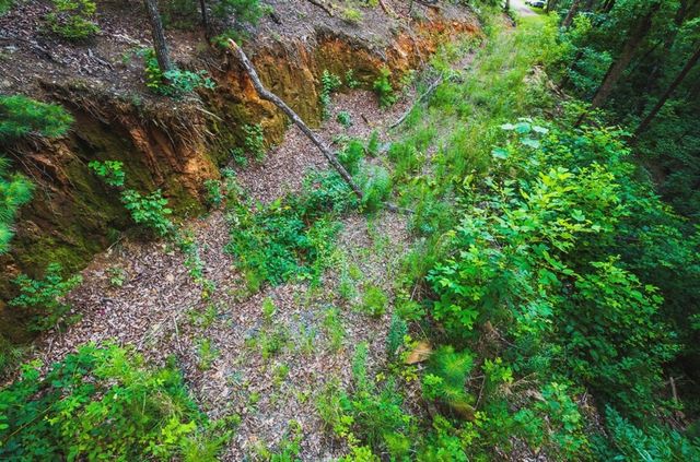 Lt 760 Morton Drive, Ellijay, GA 30540
