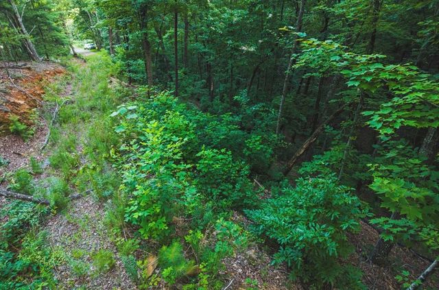Lt 760 Morton Drive, Ellijay, GA 30540