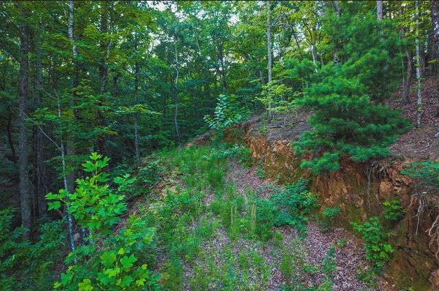 Lt 760 Morton Drive, Ellijay, GA 30540