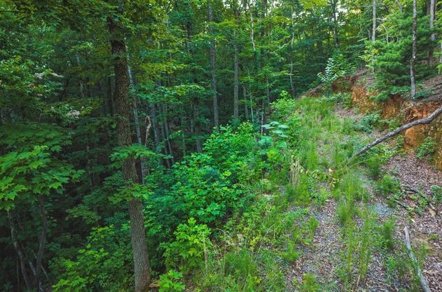 Lt 760 Morton Drive, Ellijay, GA 30540