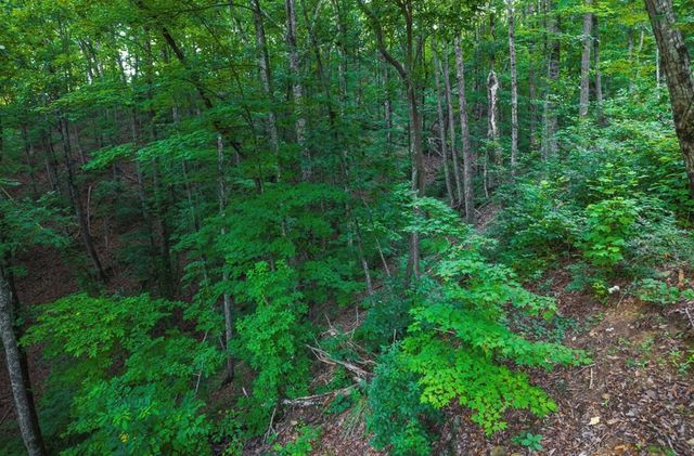 Lt 760 Morton Drive, Ellijay, GA 30540
