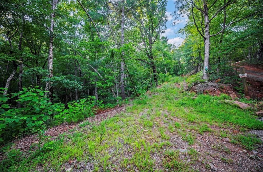 Lt 760 Morton Drive, Ellijay, GA 30540