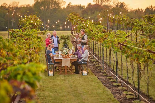 14114 Ripple Ridge Road, Willis, TX 77318