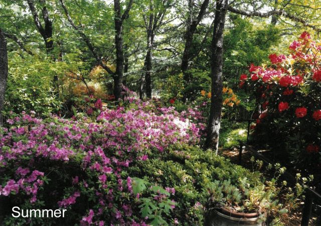 175 Hillcrest Street, Ashland, OR 97520