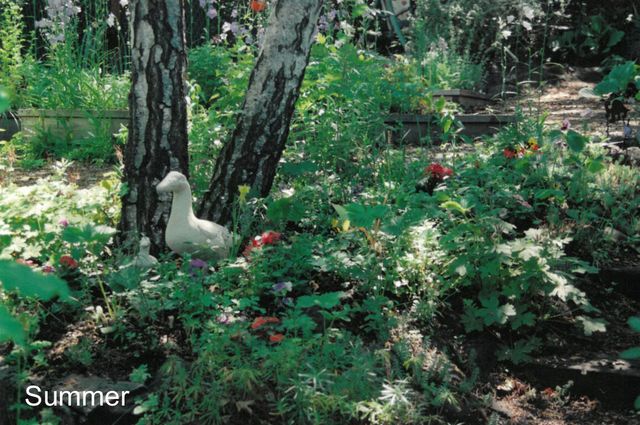 175 Hillcrest Street, Ashland, OR 97520