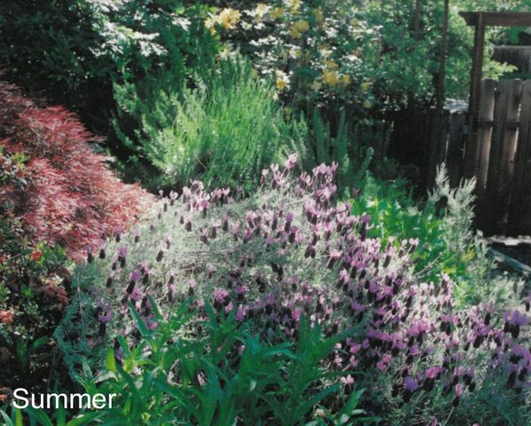 175 Hillcrest Street, Ashland, OR 97520