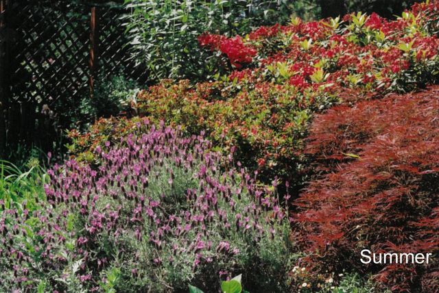 175 Hillcrest Street, Ashland, OR 97520