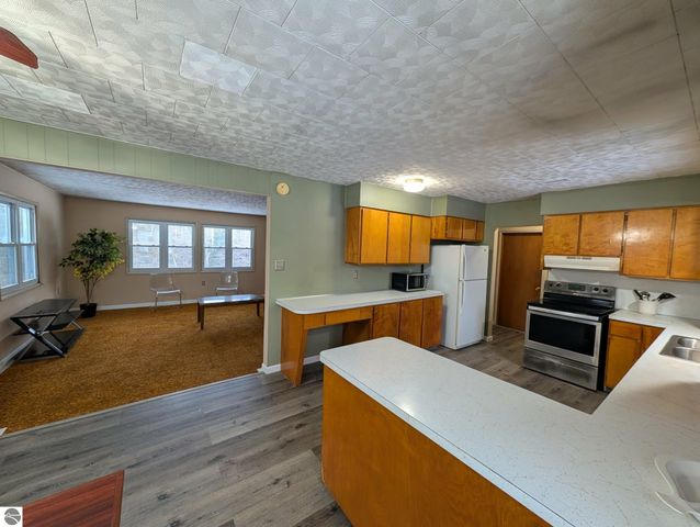 17527 110th Avenue, Evart, MI 49631