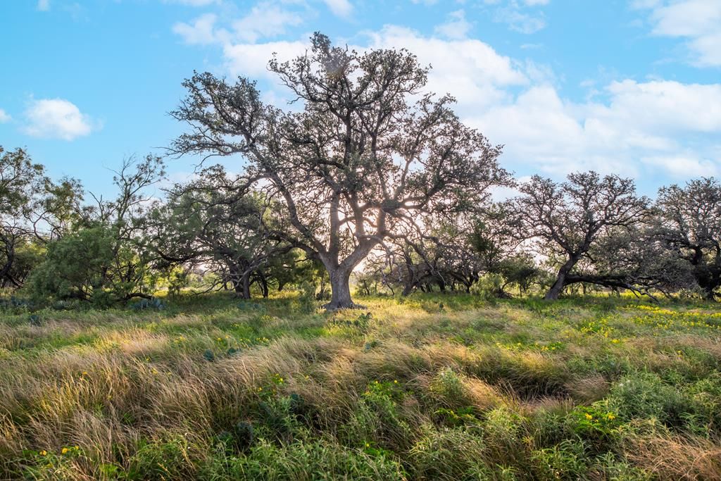 Image 1 of property listing at 7554 E Hwy 87, Eden, TX 76837