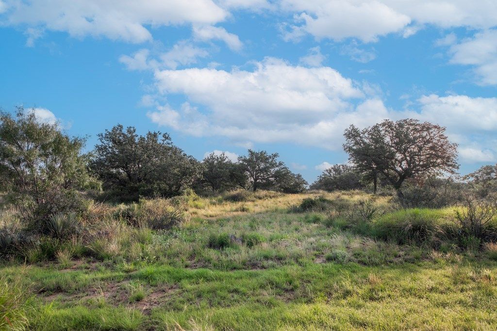Image 10 of property listing at 7554 E Hwy 87, Eden, TX 76837