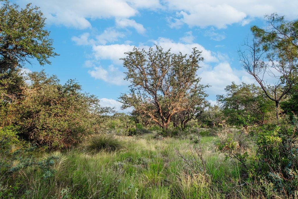 Image 12 of property listing at 7554 E Hwy 87, Eden, TX 76837