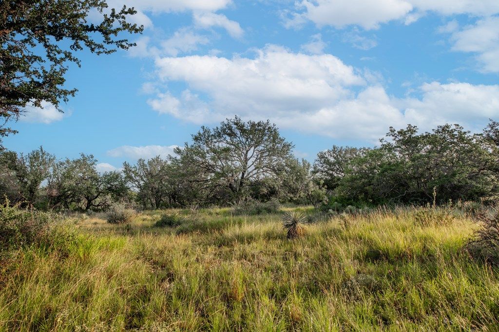 Image 13 of property listing at 7554 E Hwy 87, Eden, TX 76837