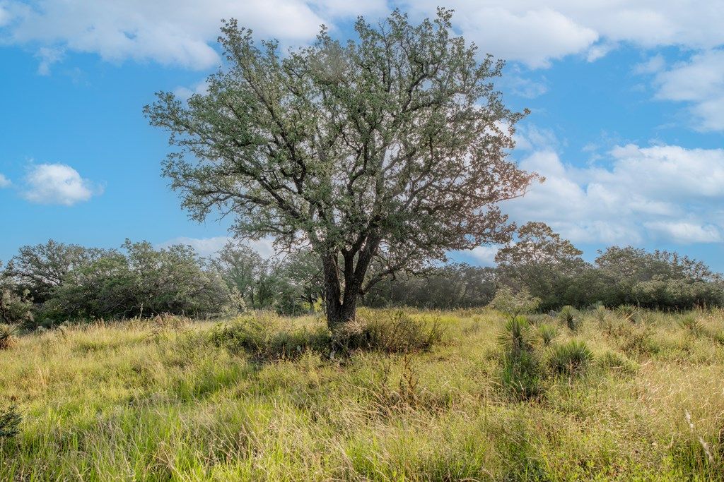 Image 14 of property listing at 7554 E Hwy 87, Eden, TX 76837