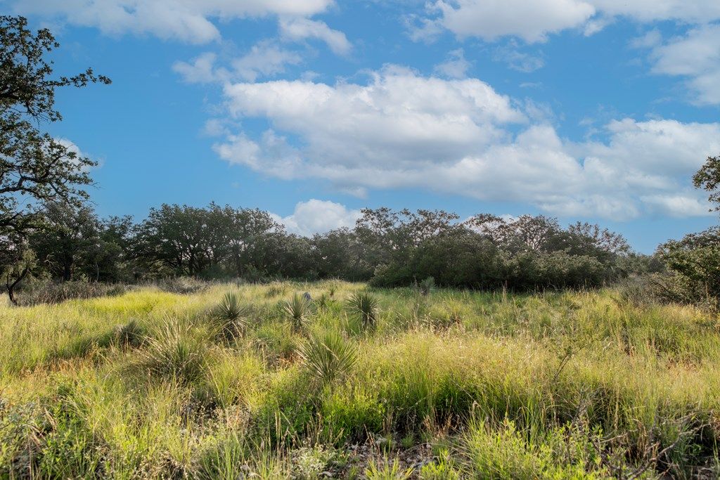 Image 15 of property listing at 7554 E Hwy 87, Eden, TX 76837