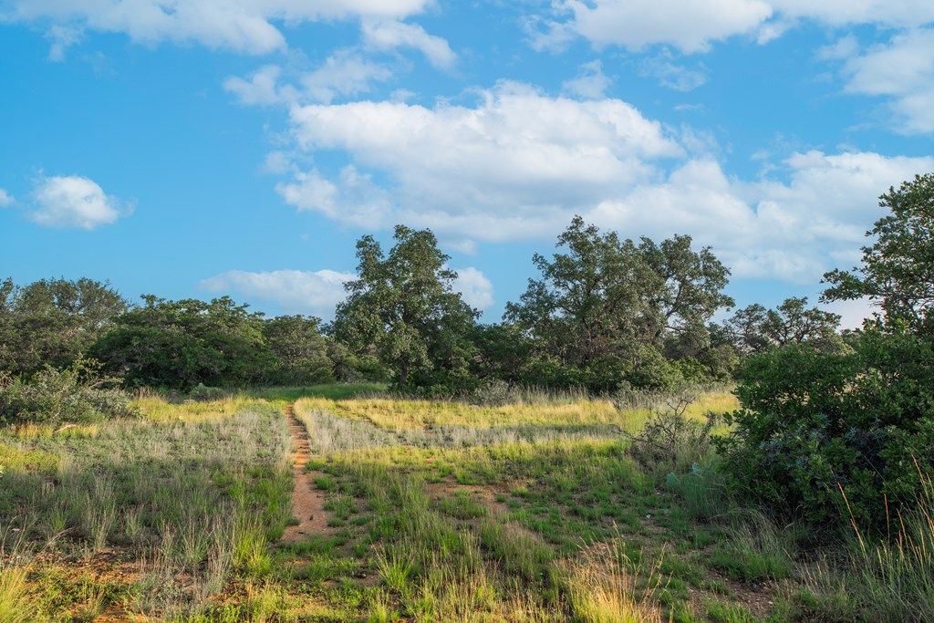Image 16 of property listing at 7554 E Hwy 87, Eden, TX 76837