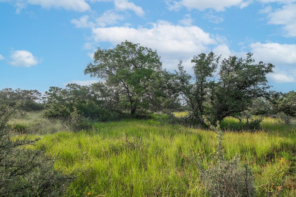 Image 18 of property listing at 7554 E Hwy 87, Eden, TX 76837