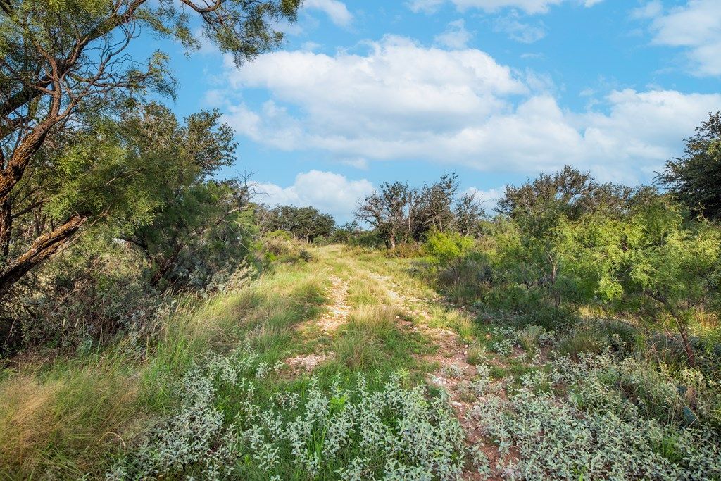 Image 2 of property listing at 7554 E Hwy 87, Eden, TX 76837