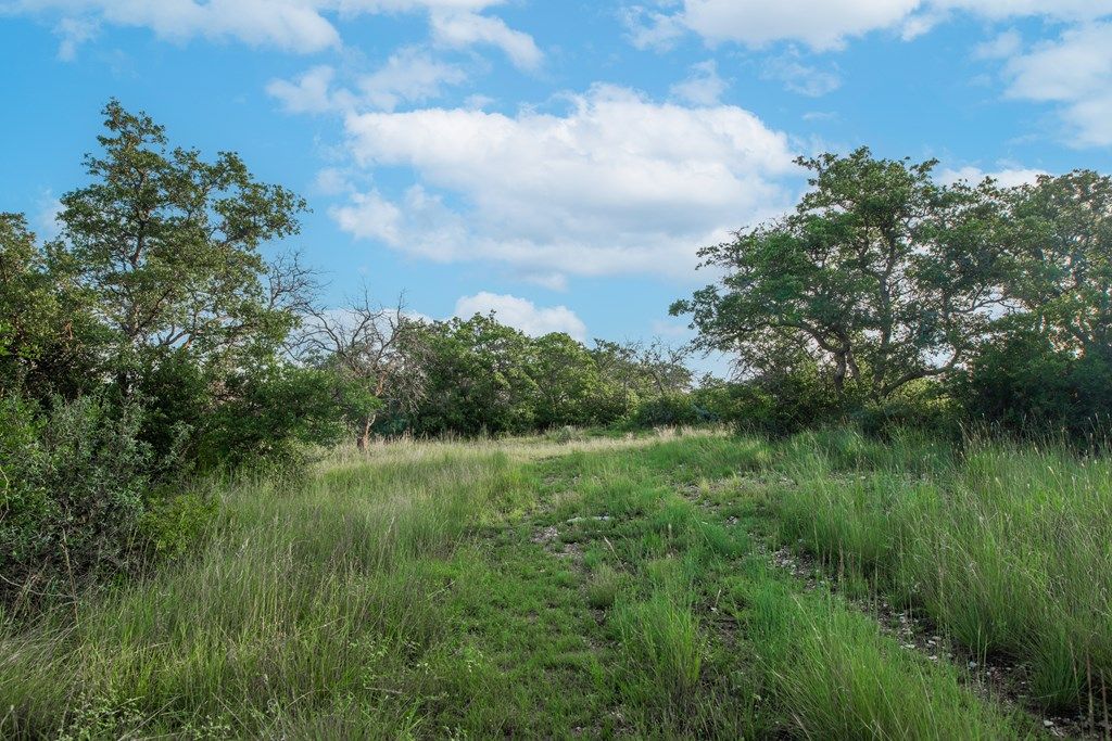 Image 20 of property listing at 7554 E Hwy 87, Eden, TX 76837