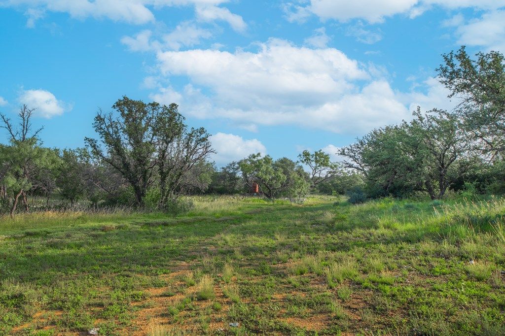 Image 21 of property listing at 7554 E Hwy 87, Eden, TX 76837