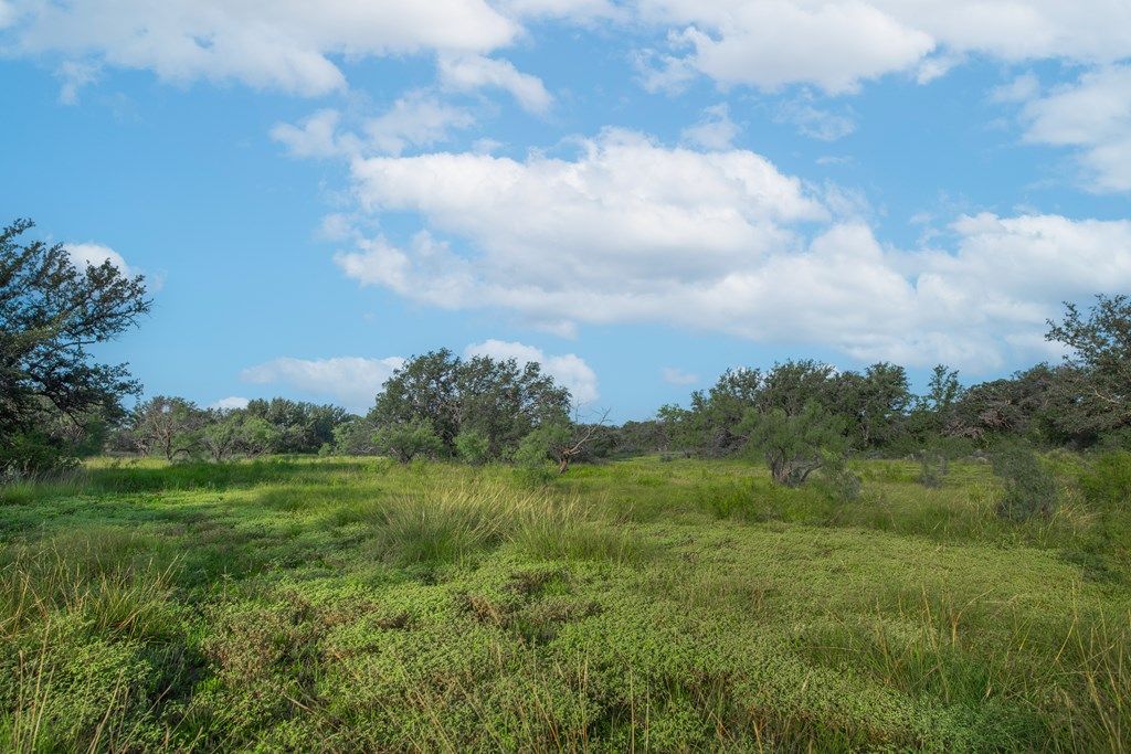 Image 22 of property listing at 7554 E Hwy 87, Eden, TX 76837