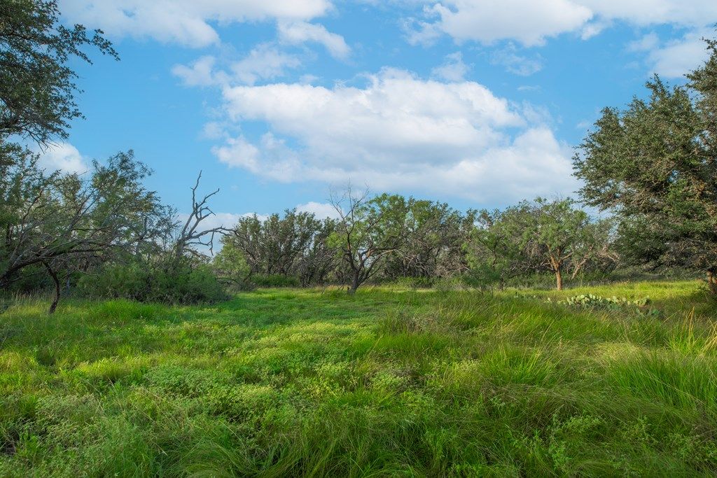 Image 24 of property listing at 7554 E Hwy 87, Eden, TX 76837