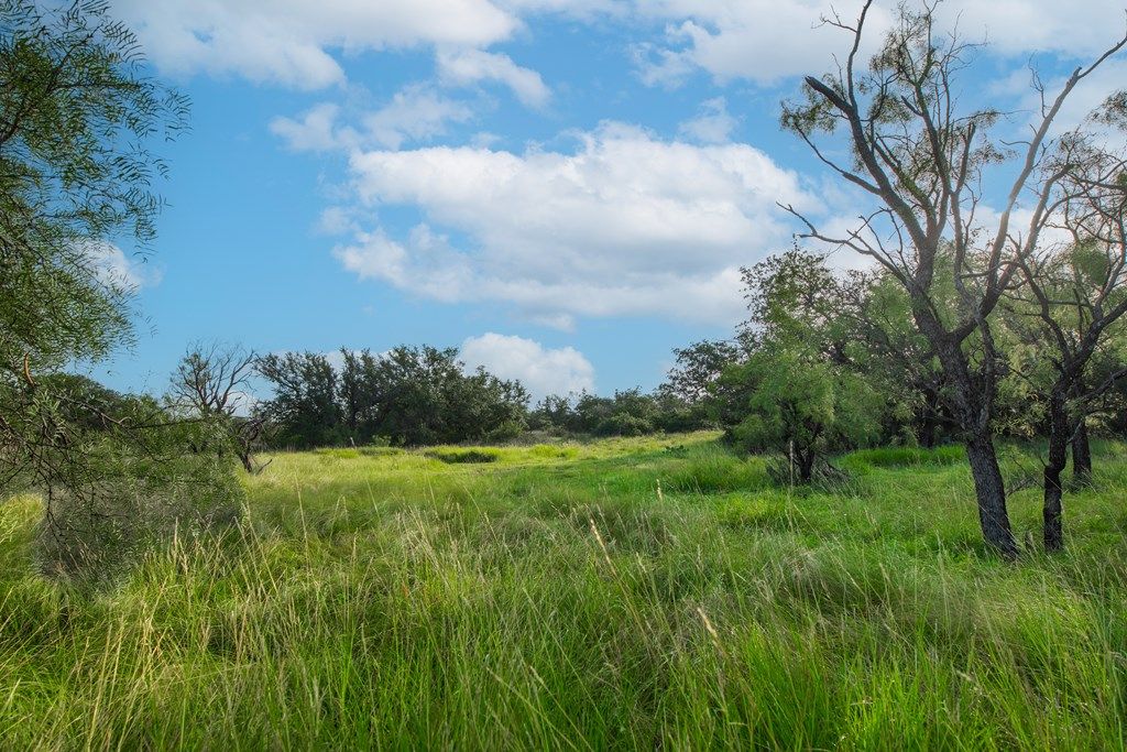 Image 25 of property listing at 7554 E Hwy 87, Eden, TX 76837