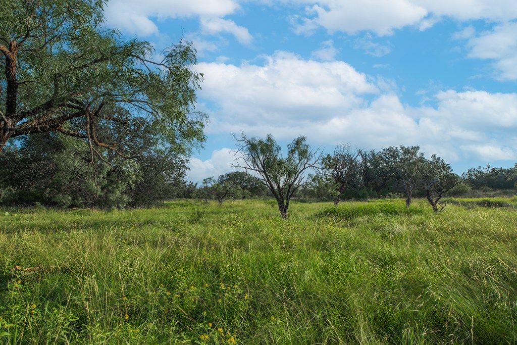 Image 27 of property listing at 7554 E Hwy 87, Eden, TX 76837