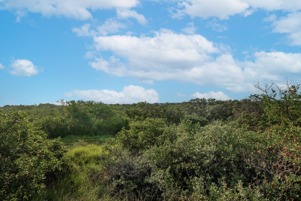 Image 29 of property listing at 7554 E Hwy 87, Eden, TX 76837