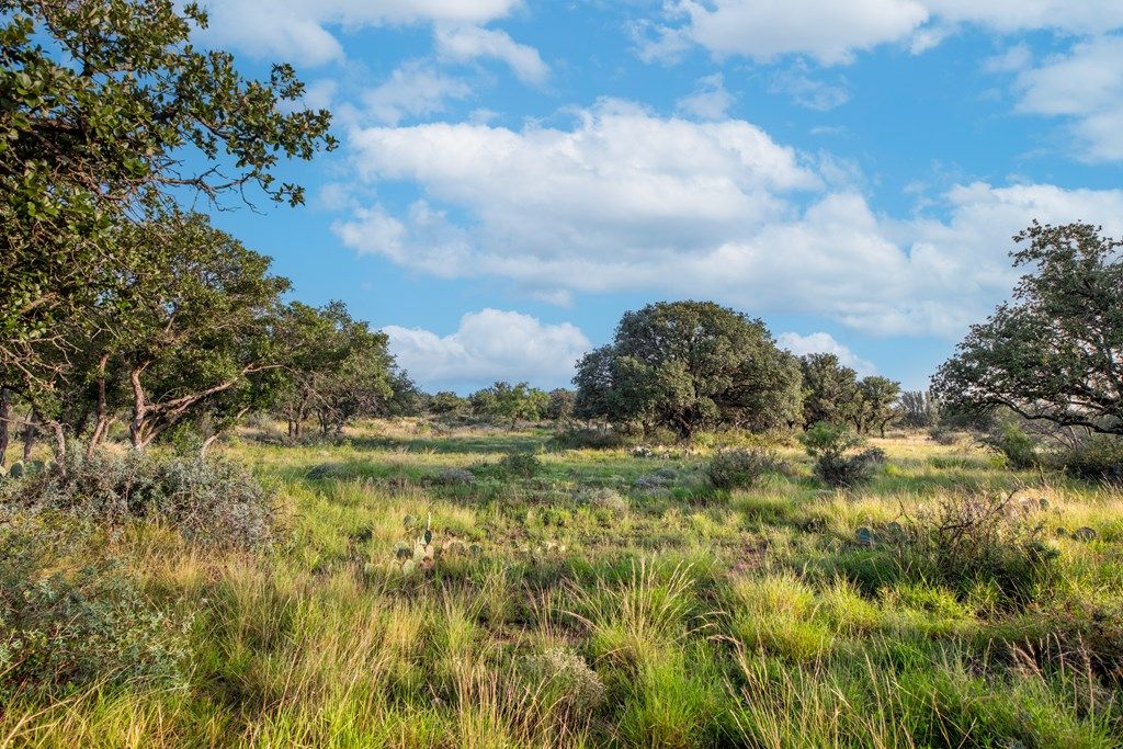 Image 3 of property listing at 7554 E Hwy 87, Eden, TX 76837