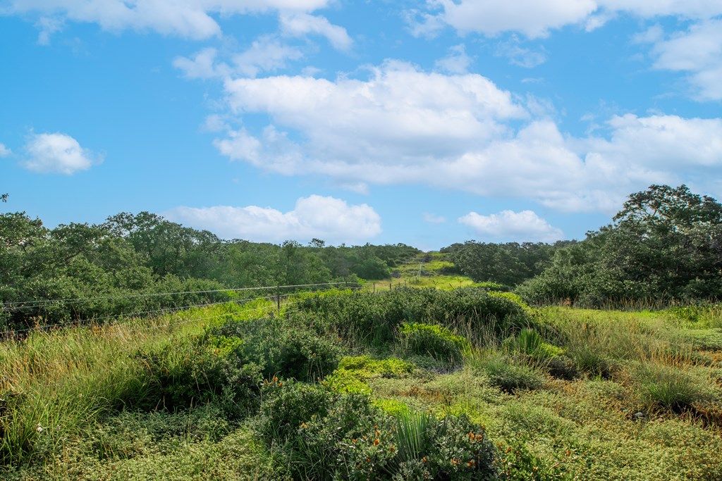 Image 31 of property listing at 7554 E Hwy 87, Eden, TX 76837