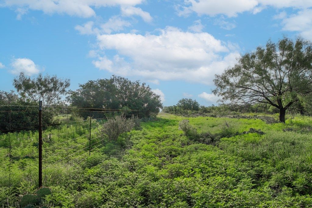 Image 33 of property listing at 7554 E Hwy 87, Eden, TX 76837