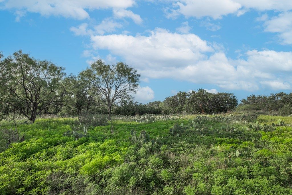 Image 34 of property listing at 7554 E Hwy 87, Eden, TX 76837