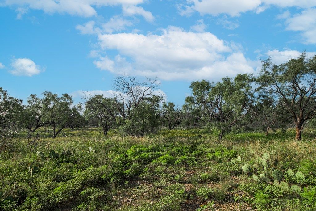 Image 35 of property listing at 7554 E Hwy 87, Eden, TX 76837