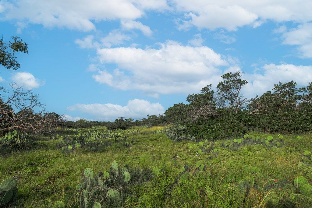 Image 36 of property listing at 7554 E Hwy 87, Eden, TX 76837