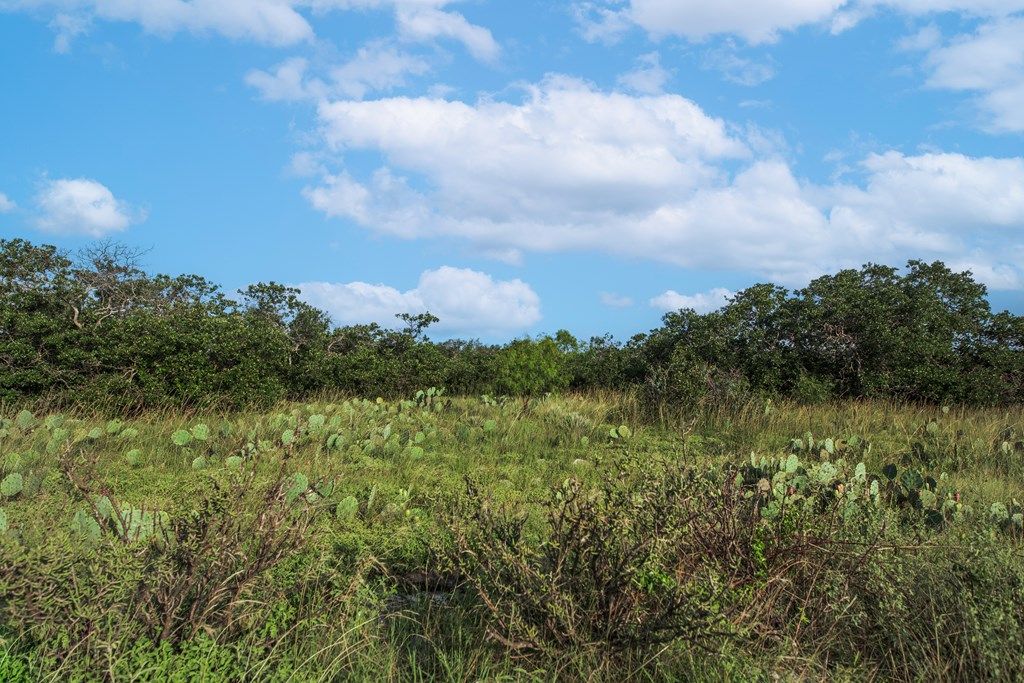 Image 37 of property listing at 7554 E Hwy 87, Eden, TX 76837
