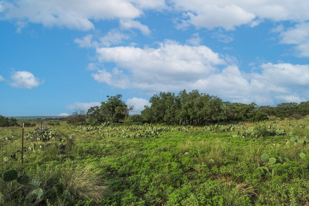 Image 38 of property listing at 7554 E Hwy 87, Eden, TX 76837