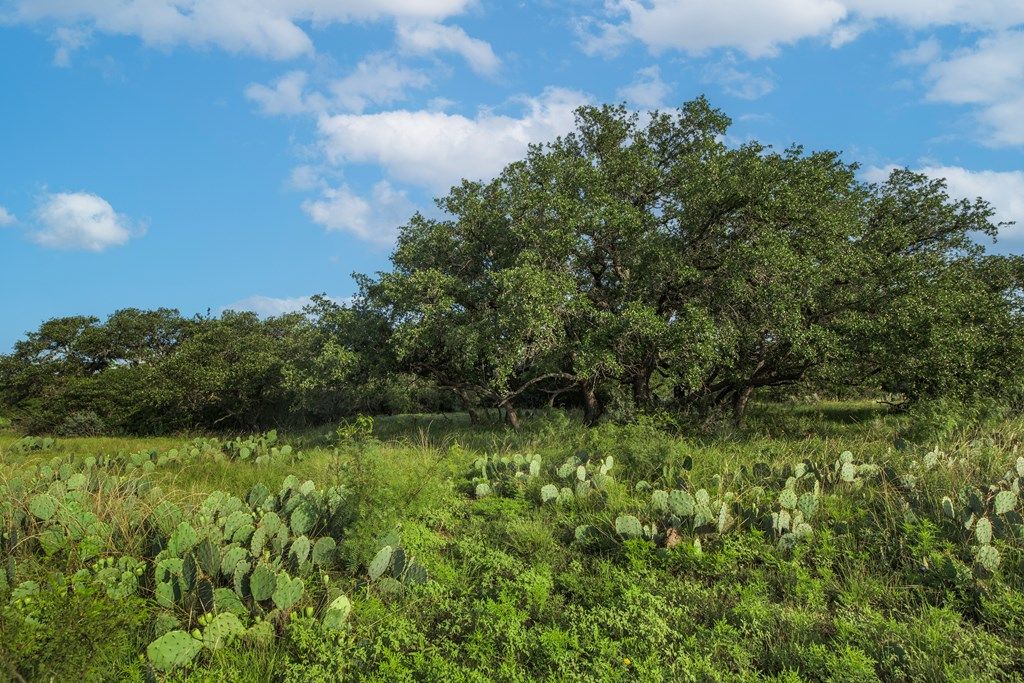 Image 39 of property listing at 7554 E Hwy 87, Eden, TX 76837
